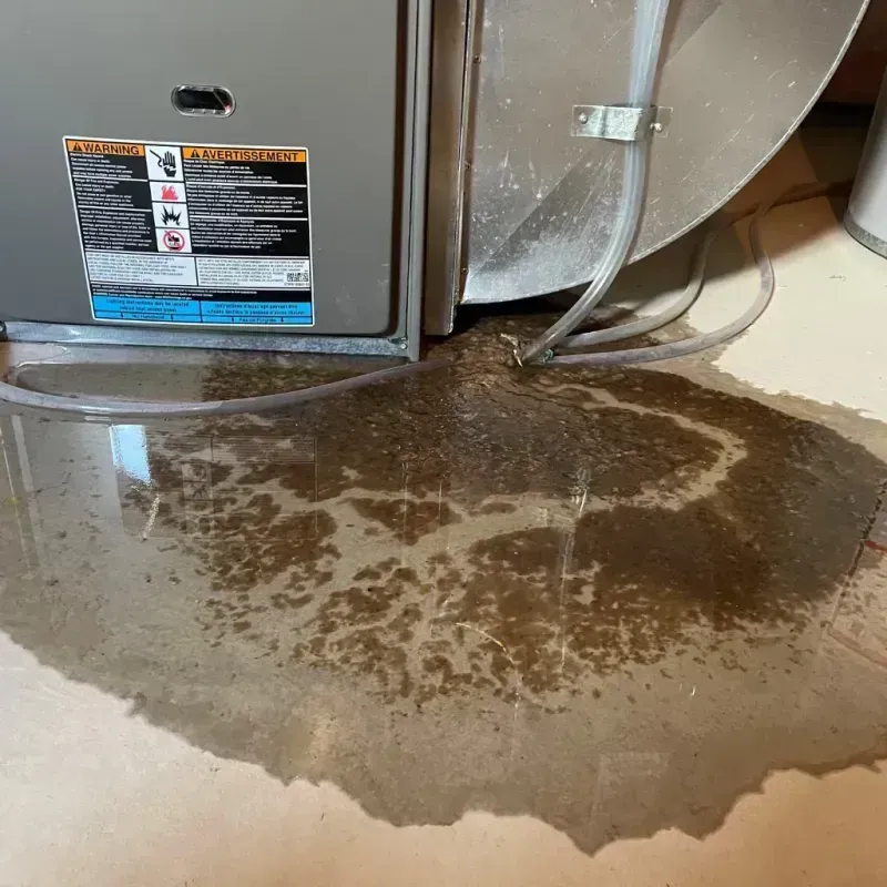 Appliance Leak Cleanup in Bluffdale, UT